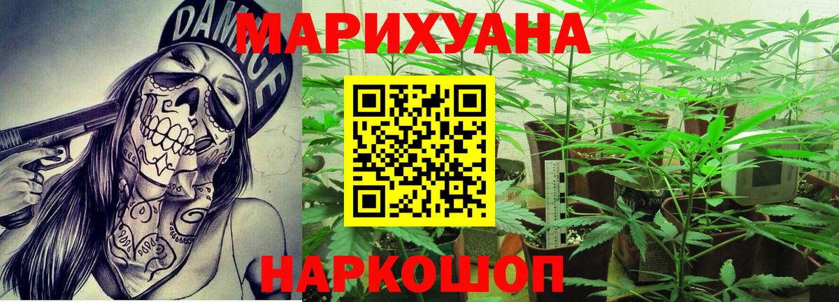 Бошки марихуана сатива  Каннабис Amnesia  Конопля Amnesia  Туапсе  Вход с VPN  Бошки Шишки сатива 